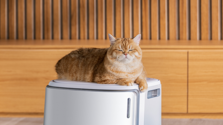 A cat relaxing on top of the Narwal Freo Z Ultra base station.